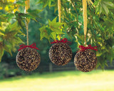 Seed & Nut Ornaments