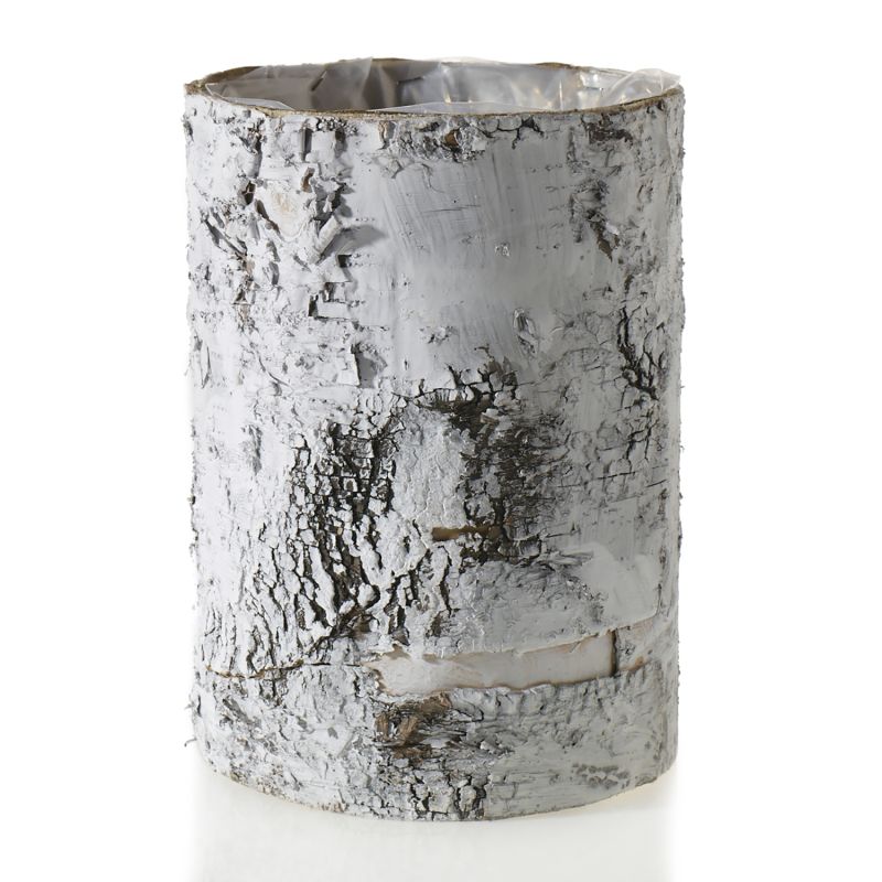 Birch Cylinder White medium