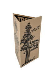 Living Christmas Tree | Giant Sequoia | Packaged Live Tree