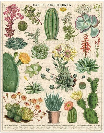 Puzzle Cacti and Succulents