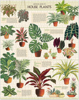 Puzzle House Plants