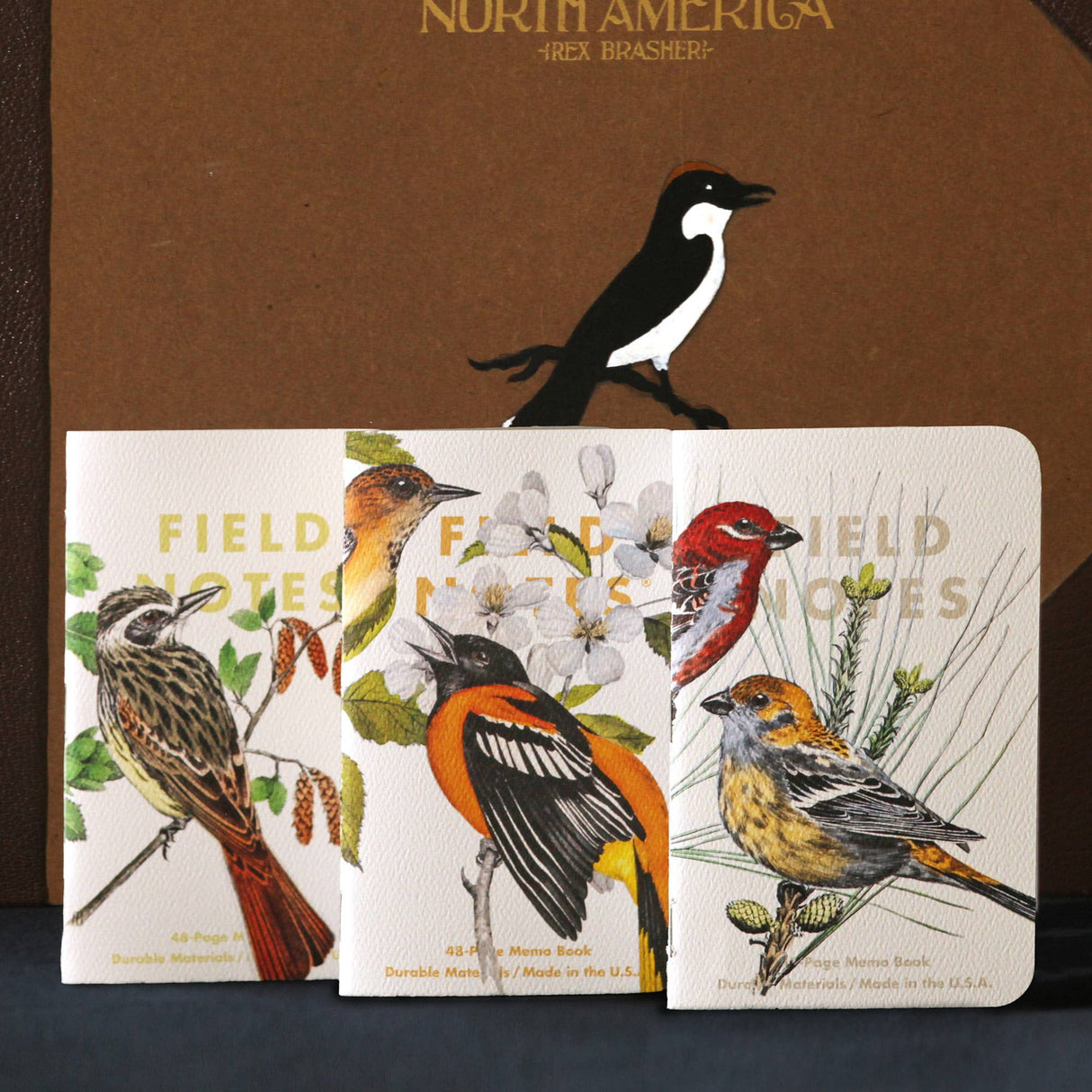 Birds and Trees of North America