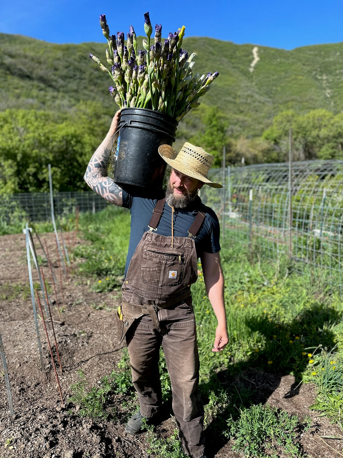 Utah Farm Bundle Subscription