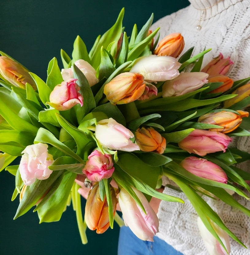 Dutch Tulip Bunch 10 stems