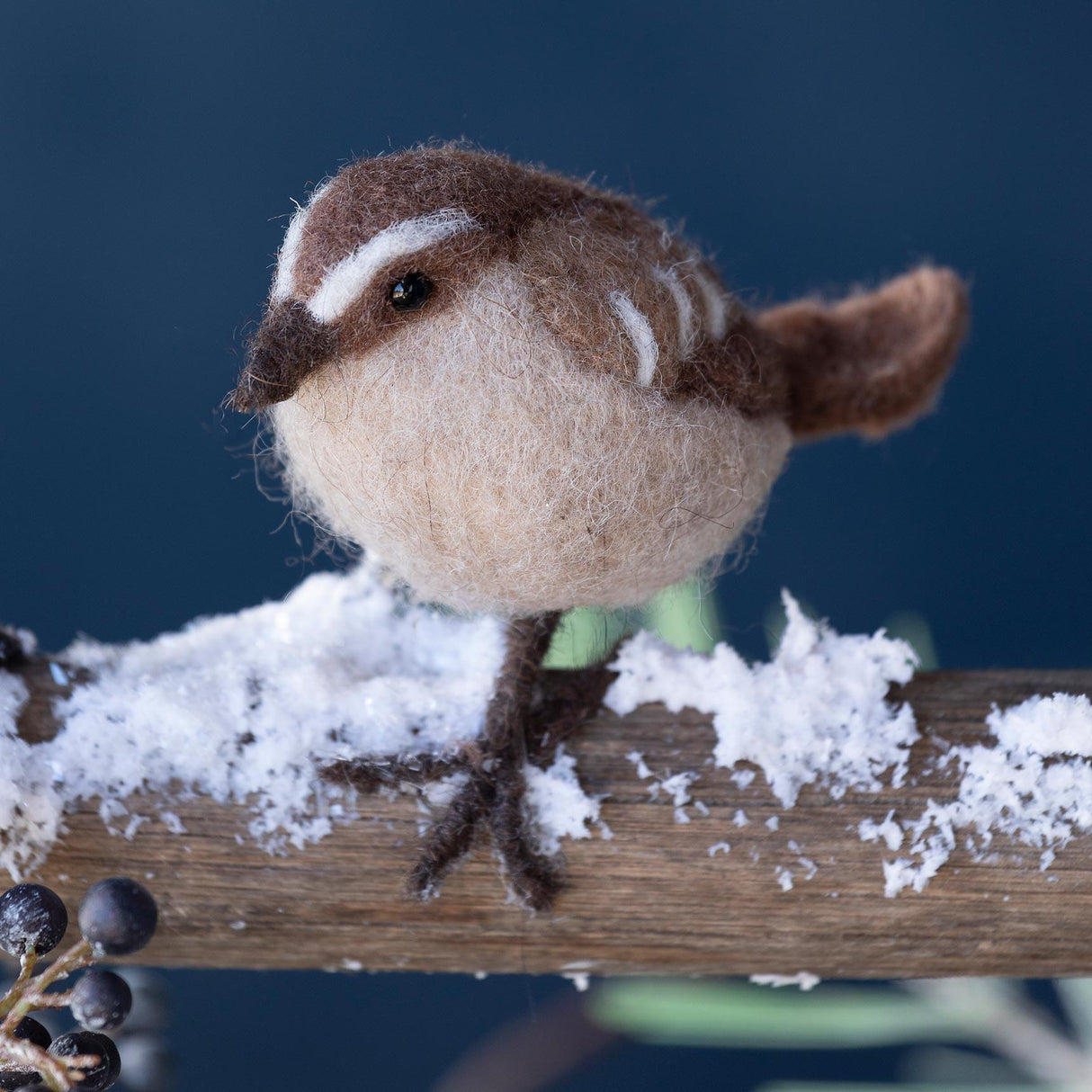 Brown Wren