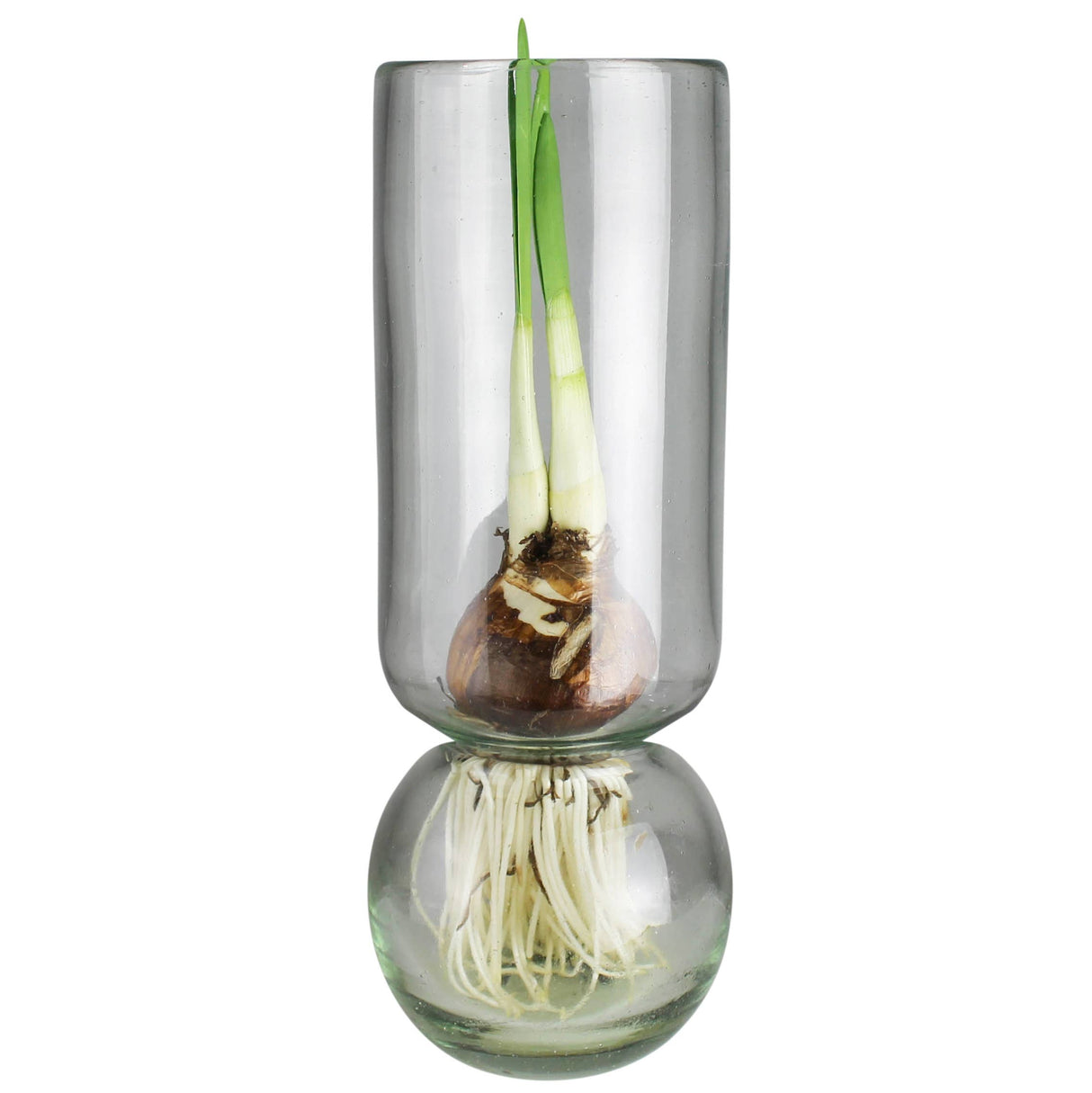 Bulb Vase, Tall - Recycled