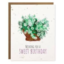 Card: Sweet Birthday Plantable