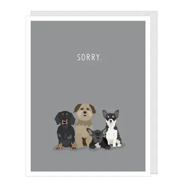 Card: Sorry Dog sympathy