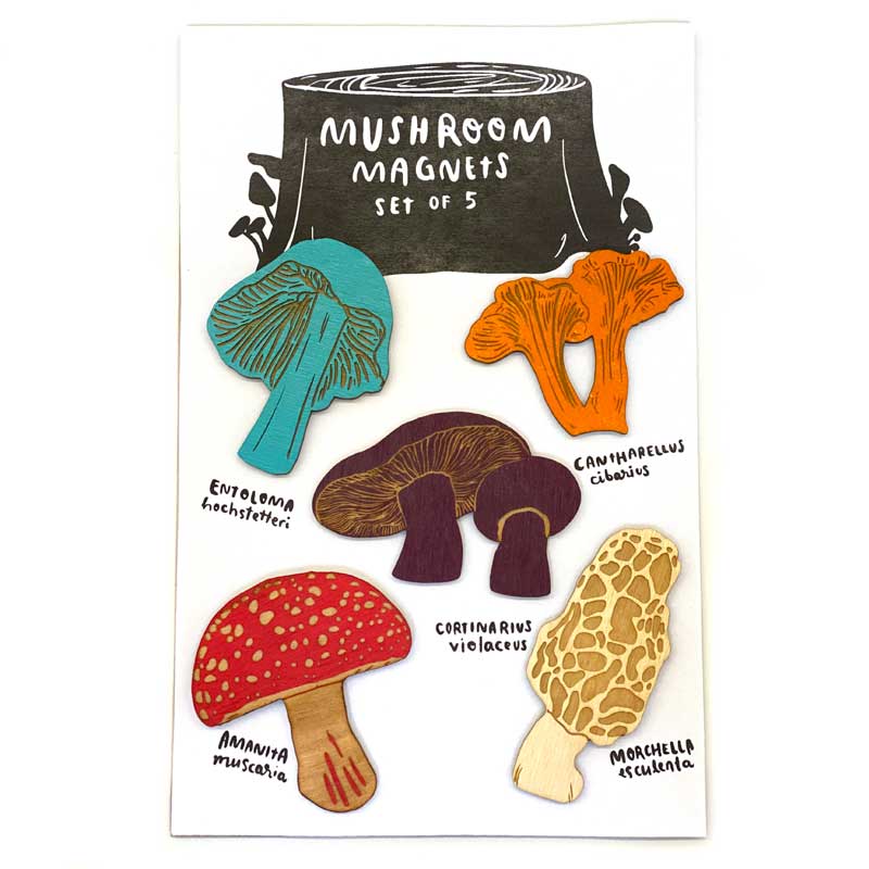 Mushroom Magnet Set