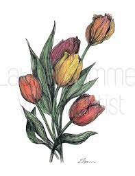 Card; Tulip