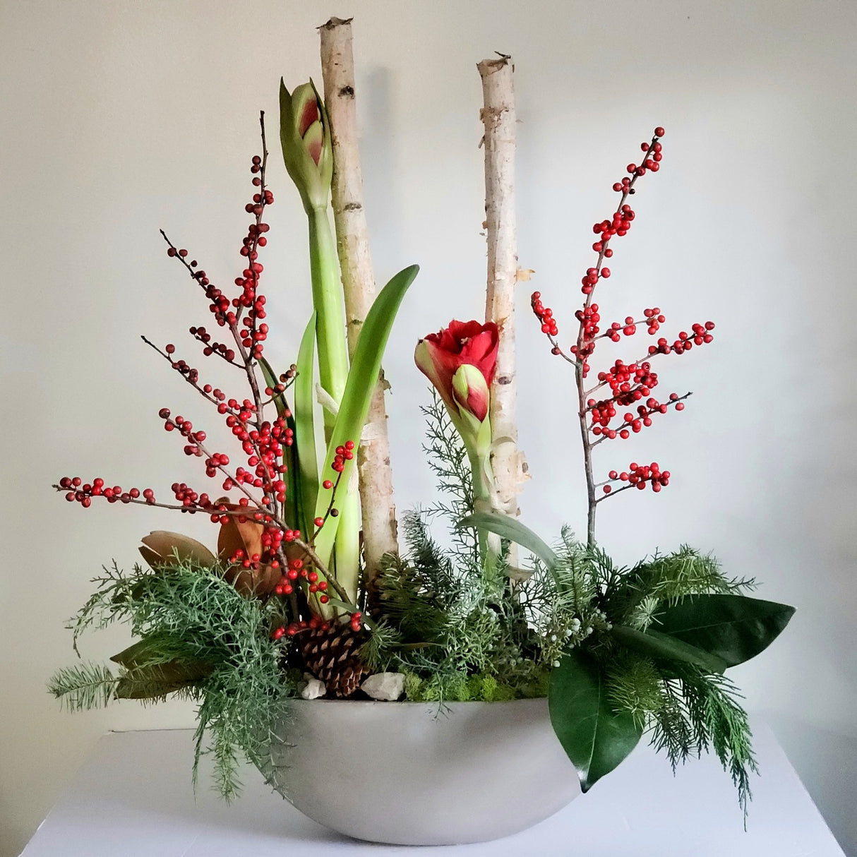 Festive Amaryllis Planter