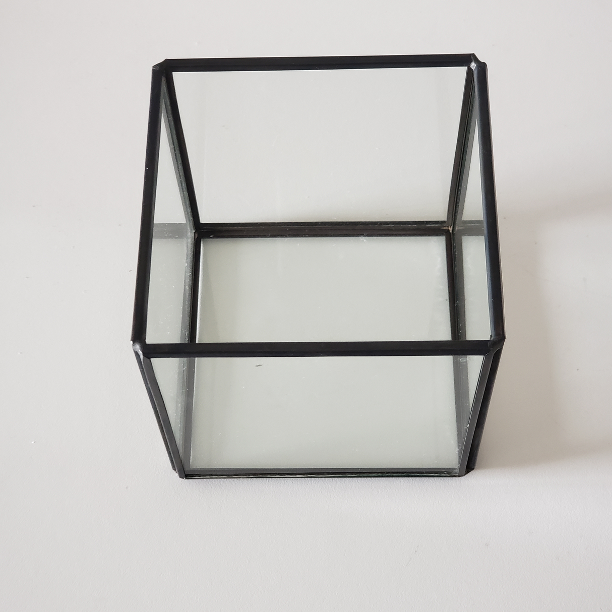 Terrarium. Black Cube