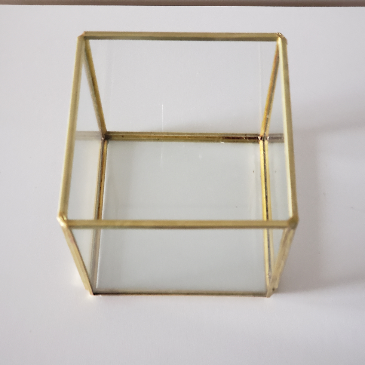 Terrarium: Gold Cube